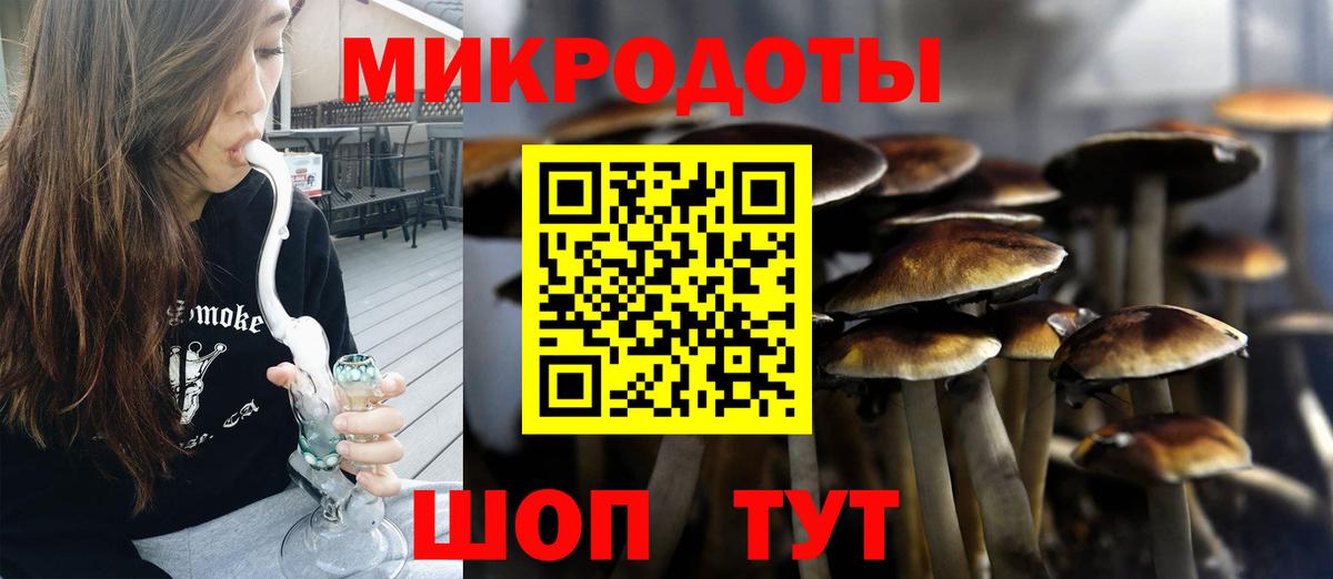 Краснознаменск  Галлюциногенные грибы Cubensis  где продают наркотики  Вход с VPN 
